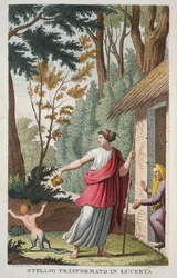 A Boy into a Lizard or Ntellio Transformato in Lucerta, Book V, illustration from Ovid